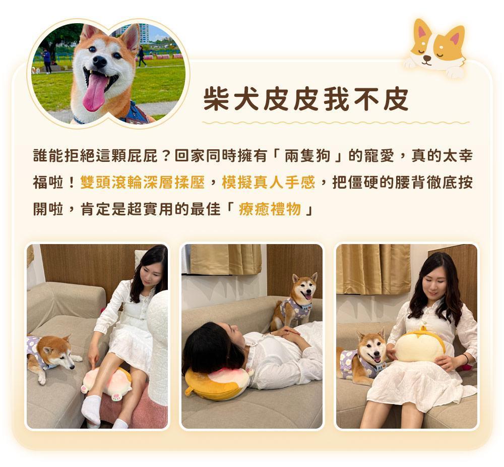 KOC_柴犬皮皮.jpg