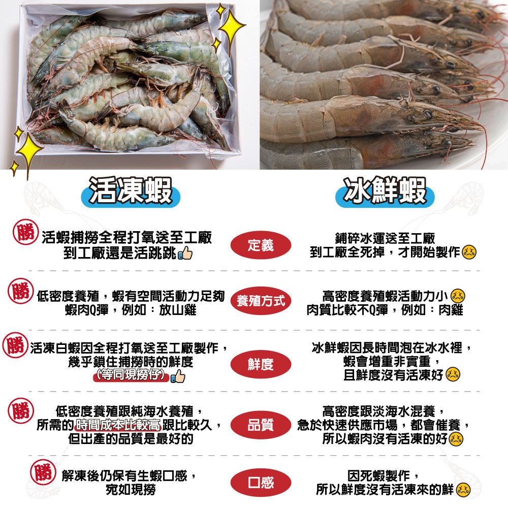 冷凍蝦VS冰鮮蝦描述圖-改.jpg