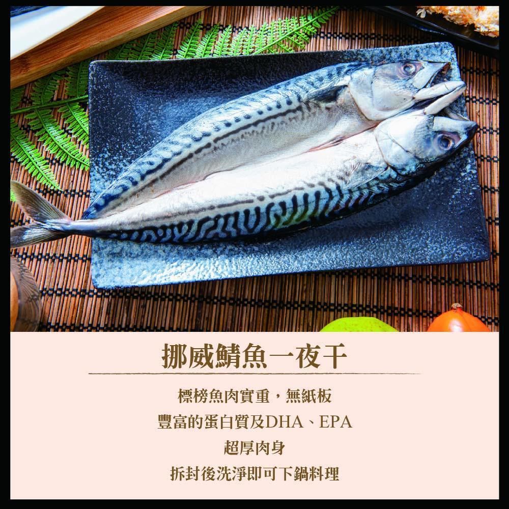 鯖魚一夜干.jpg