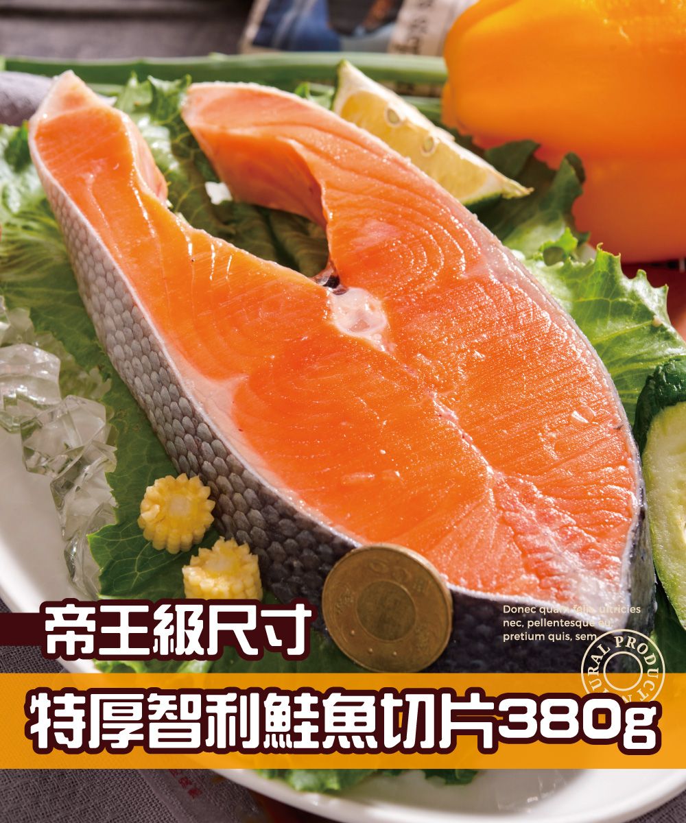 380鮭魚描述圖(無包數)1.jpg