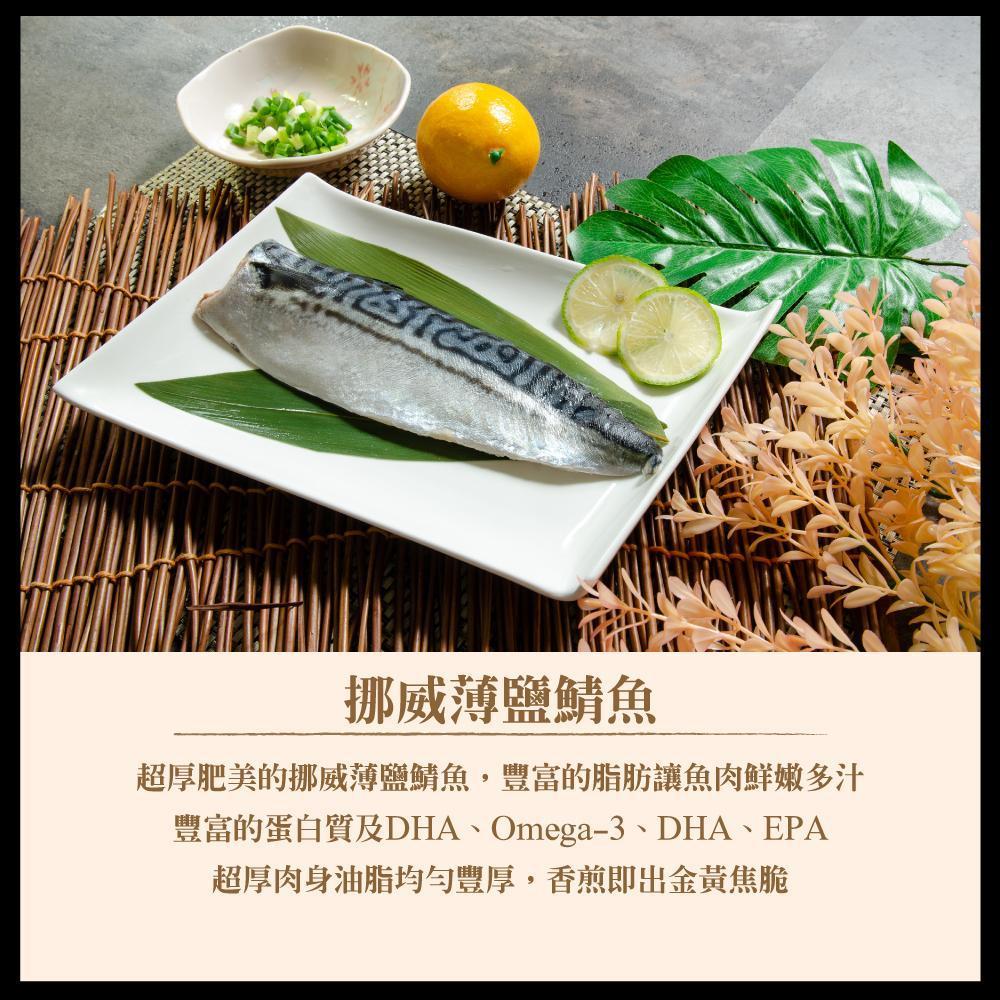 鯖-魚M.jpg