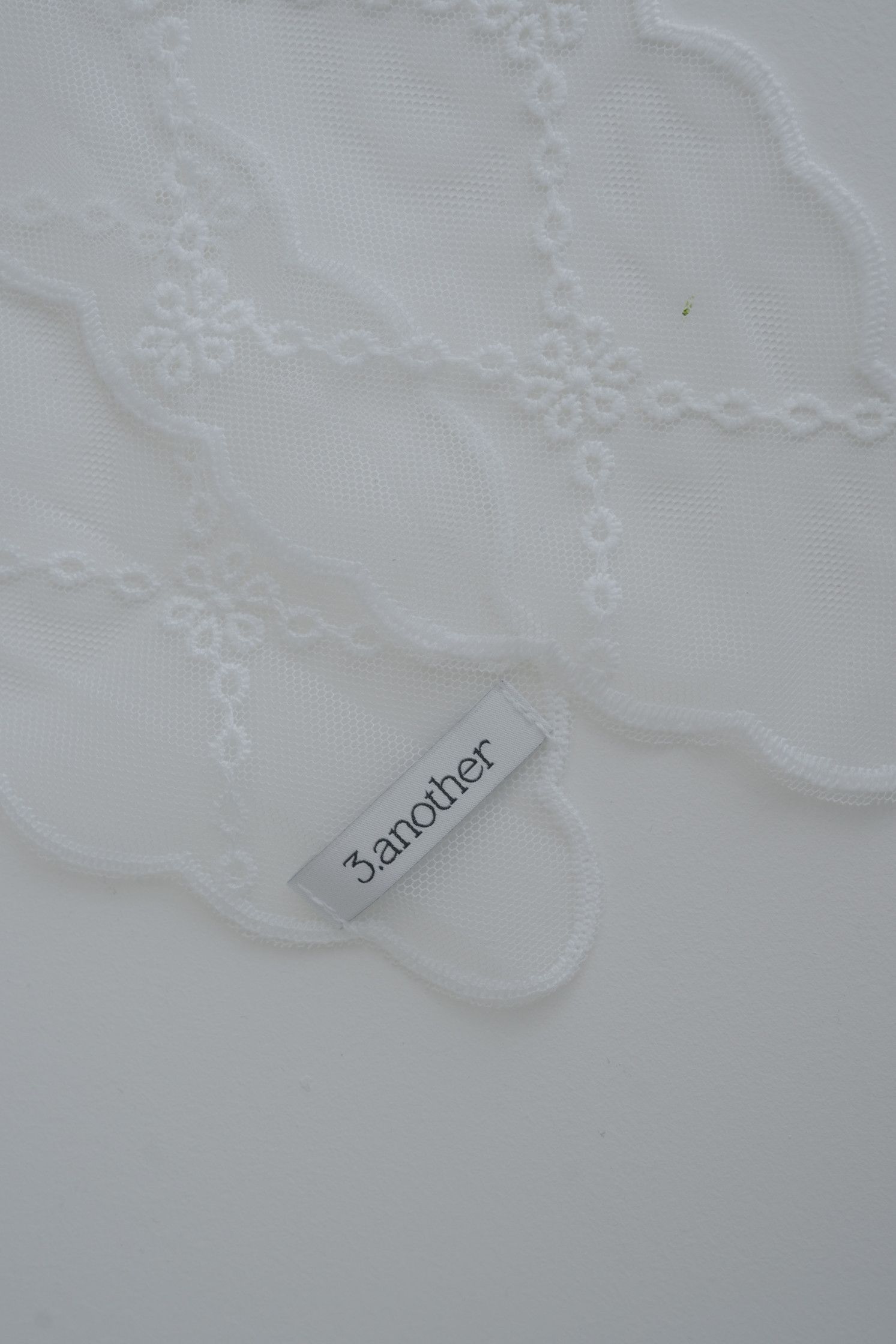 DSC07225.jpg