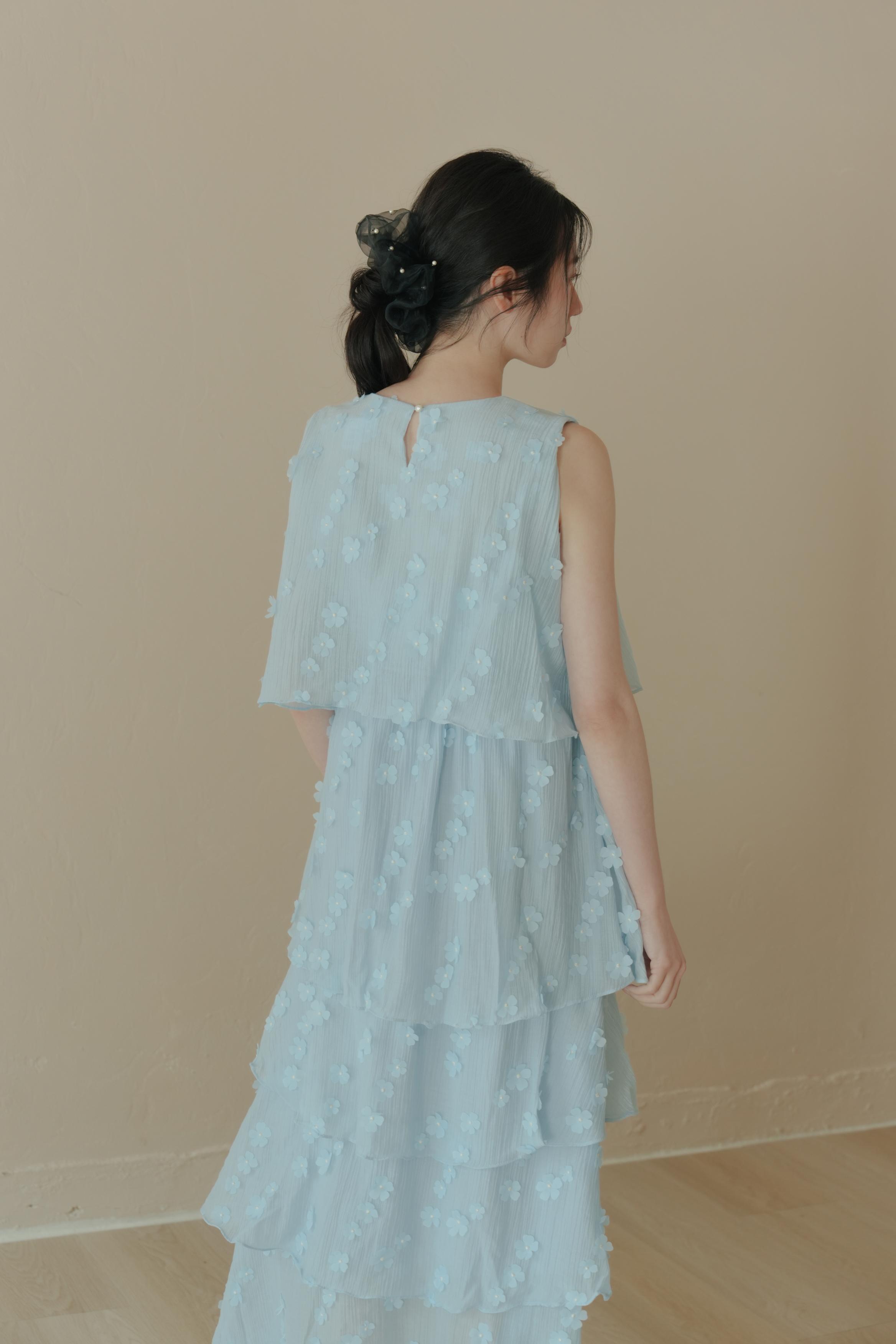 DSC00439.jpg