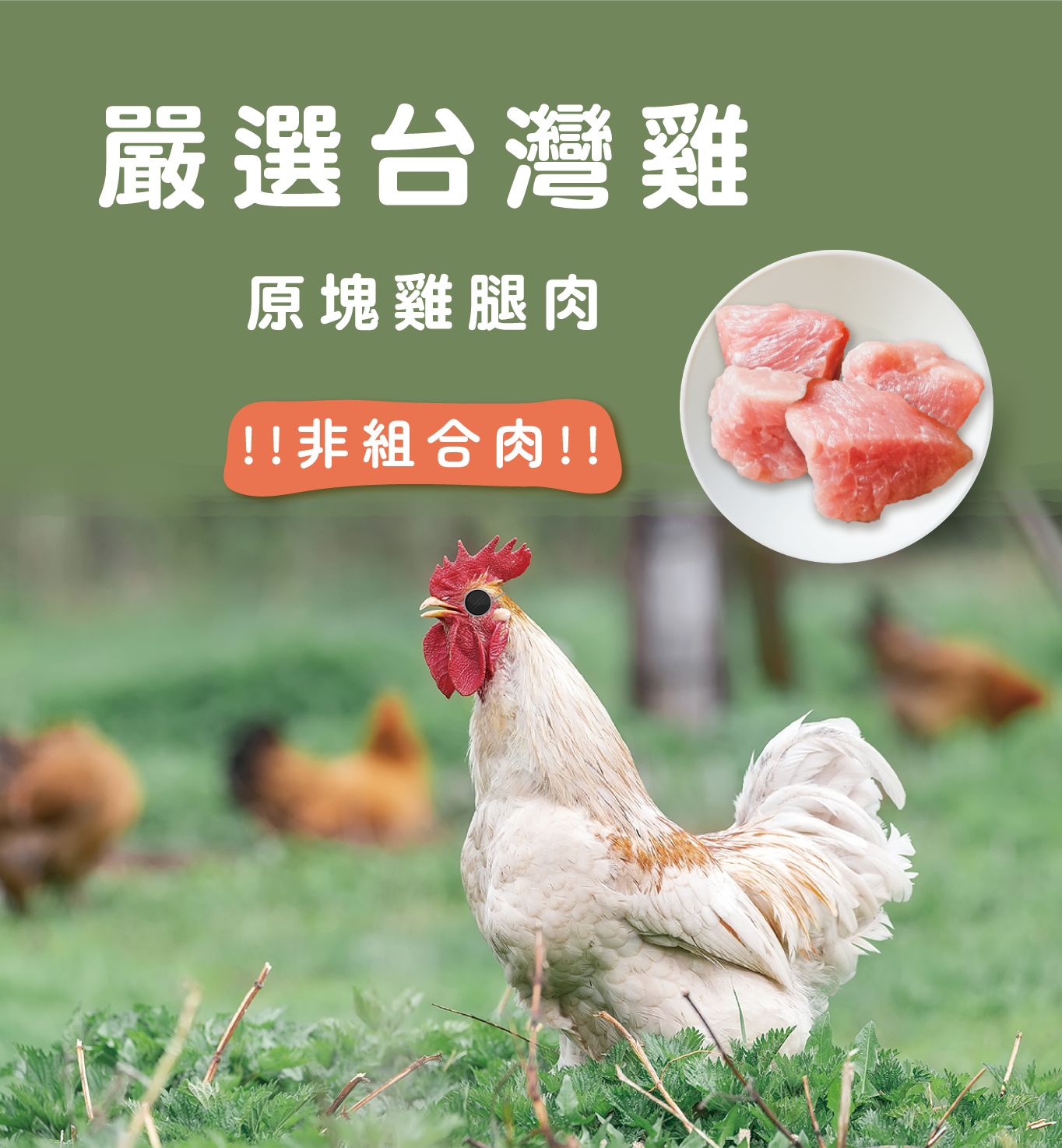 超級飽燴料05 雞.jpg