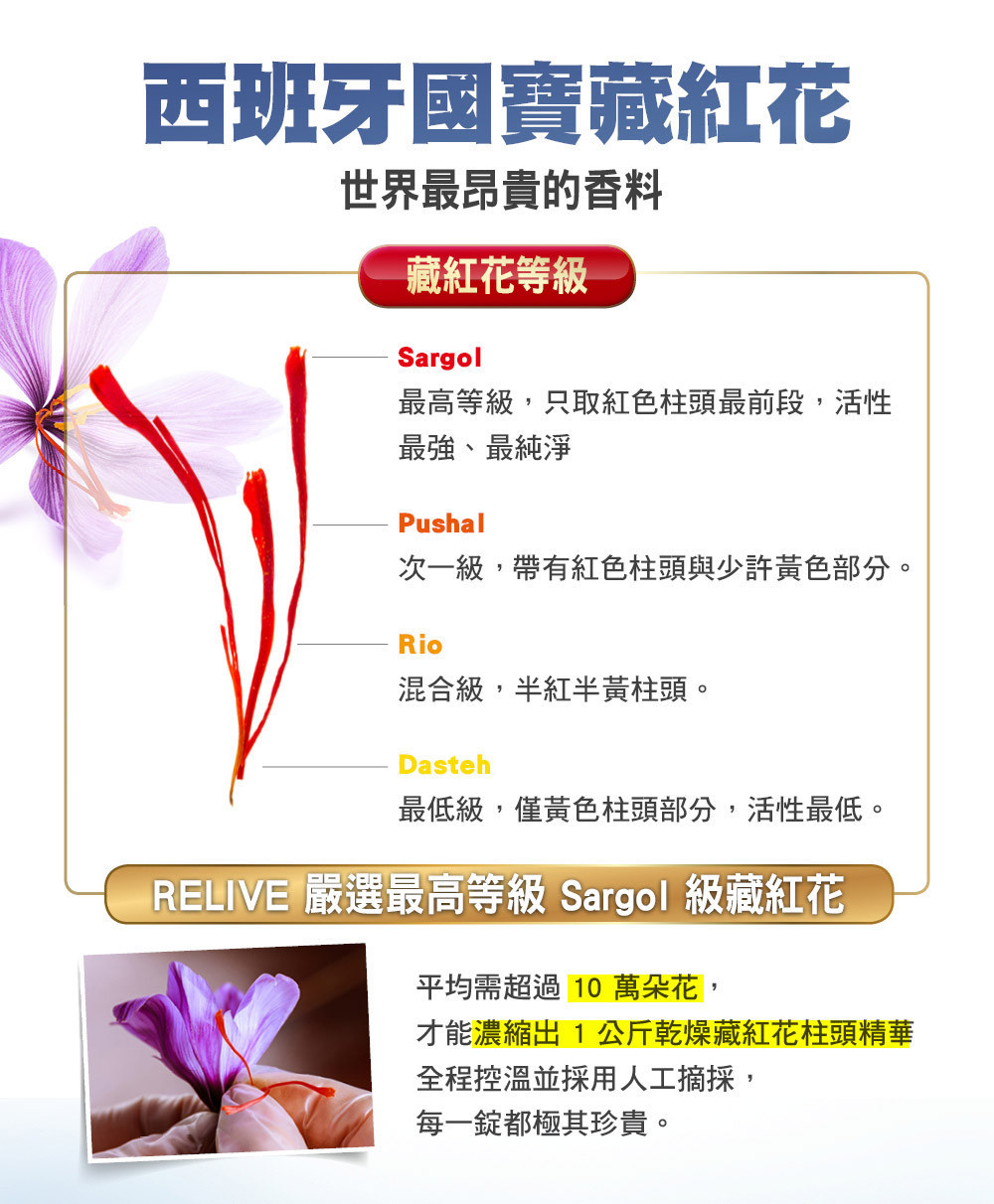 護頸專推_06.jpg