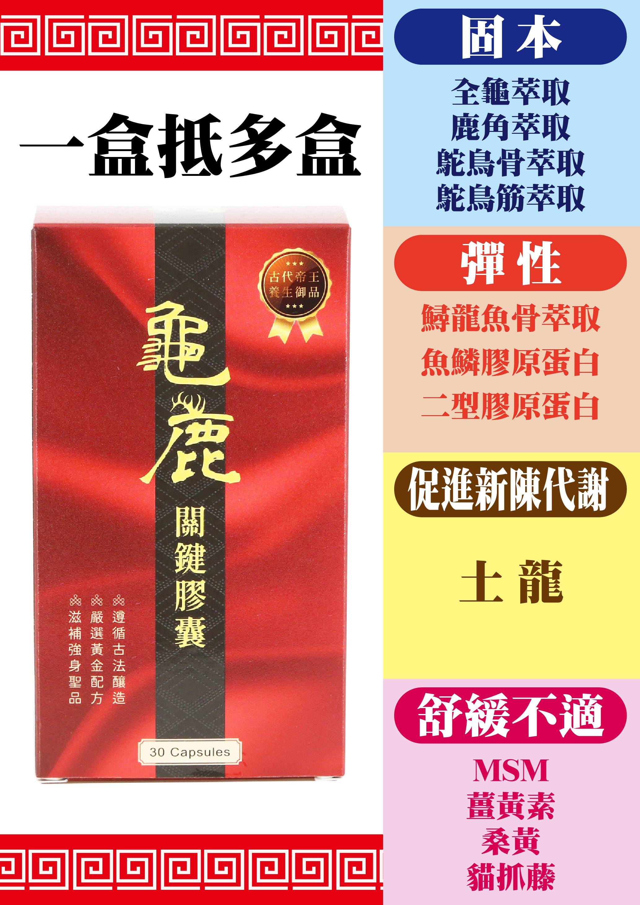 龜鹿關鍵膠囊字卡-01.jpg