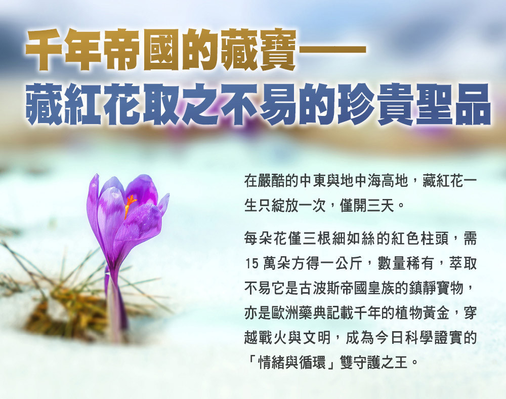 護頸專推_04.jpg