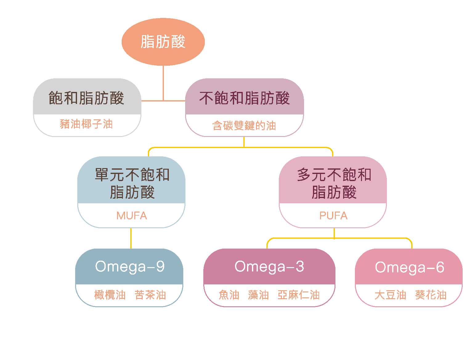(網圖)Omega-3 圖表.png