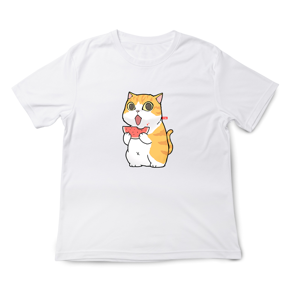 橘貓吃西瓜 白色.png