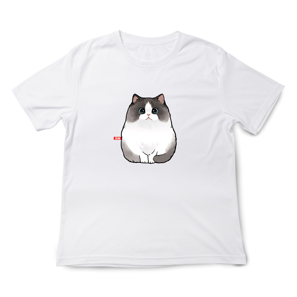 布偶貓 白色.jpg