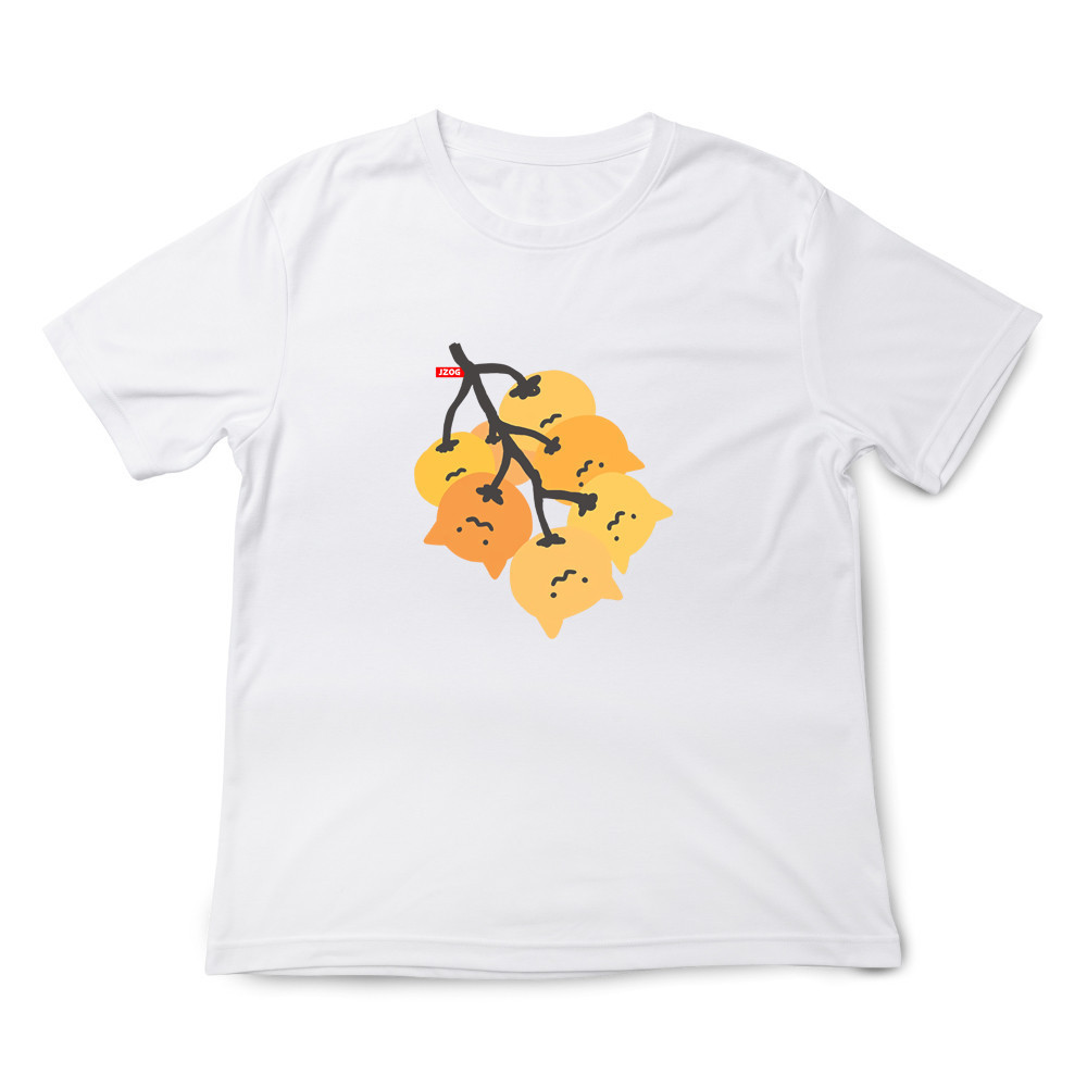 柿子上的貓咪 白色.jpg