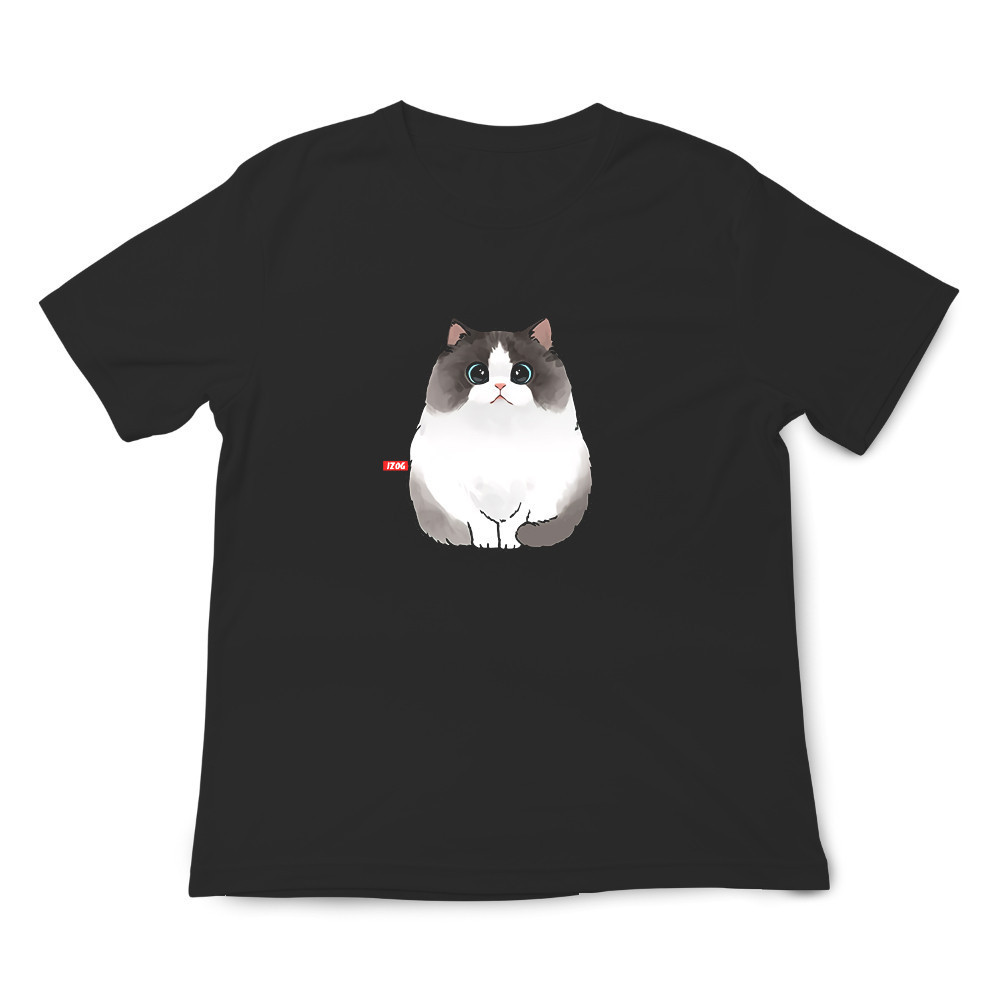 布偶貓 黑色.jpg