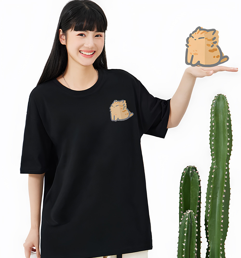 橘貓 吹風 MD.jpg