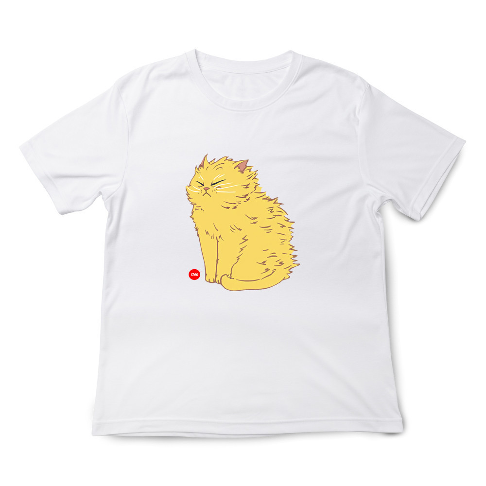 閃電橘貓 白色.jpg