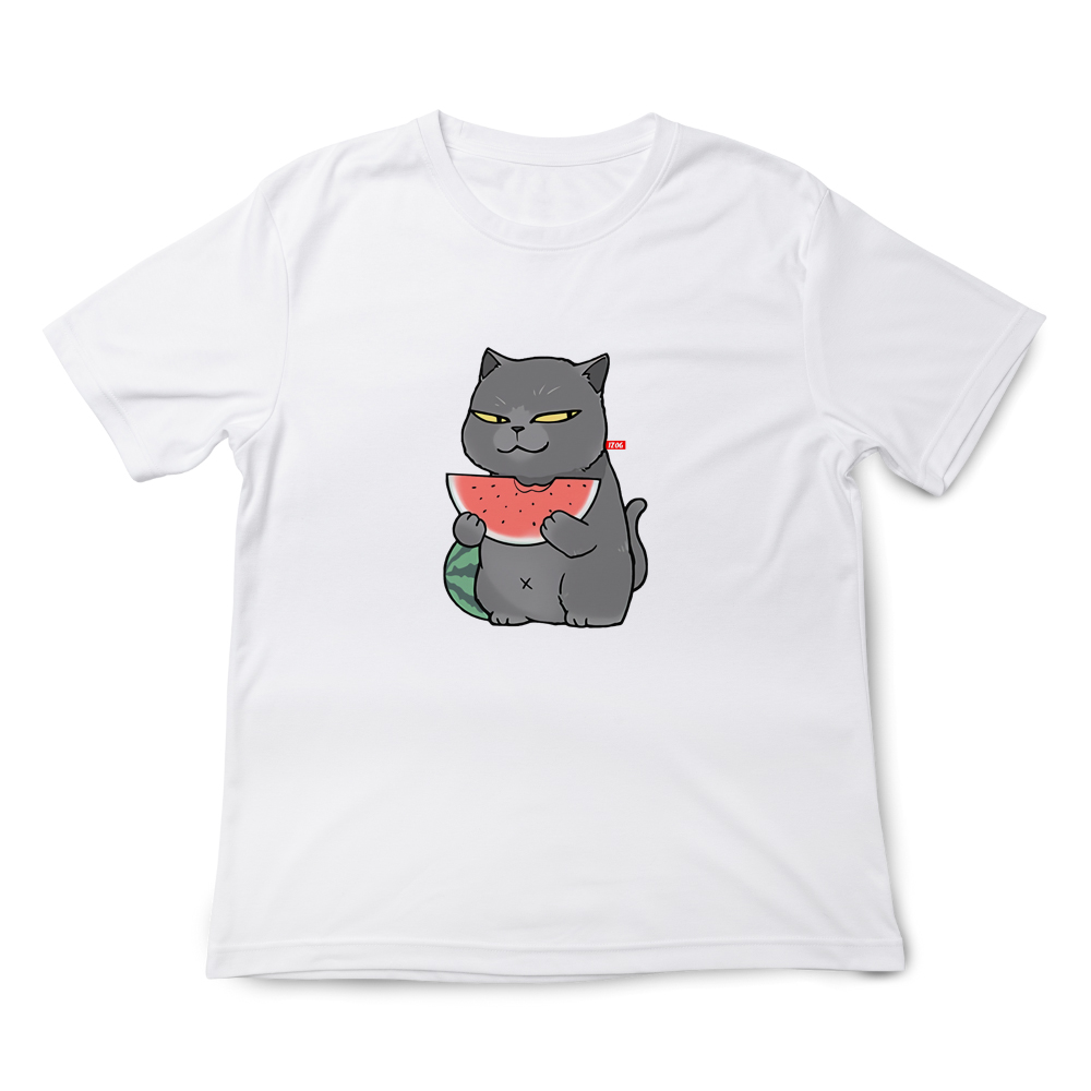 灰貓吃西瓜 白色.png