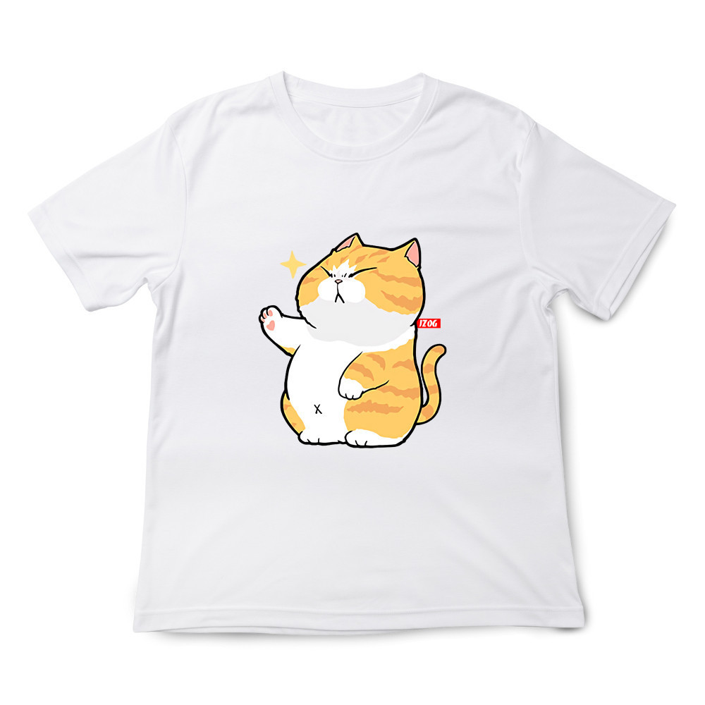 不要碰我 橘貓 白色.jpg