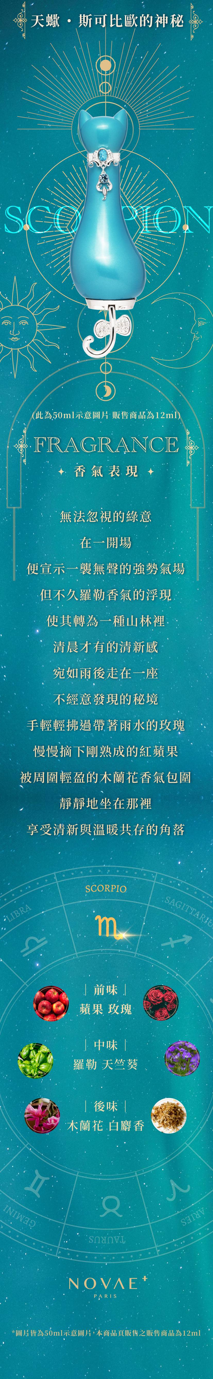20220216小貓天.jpg