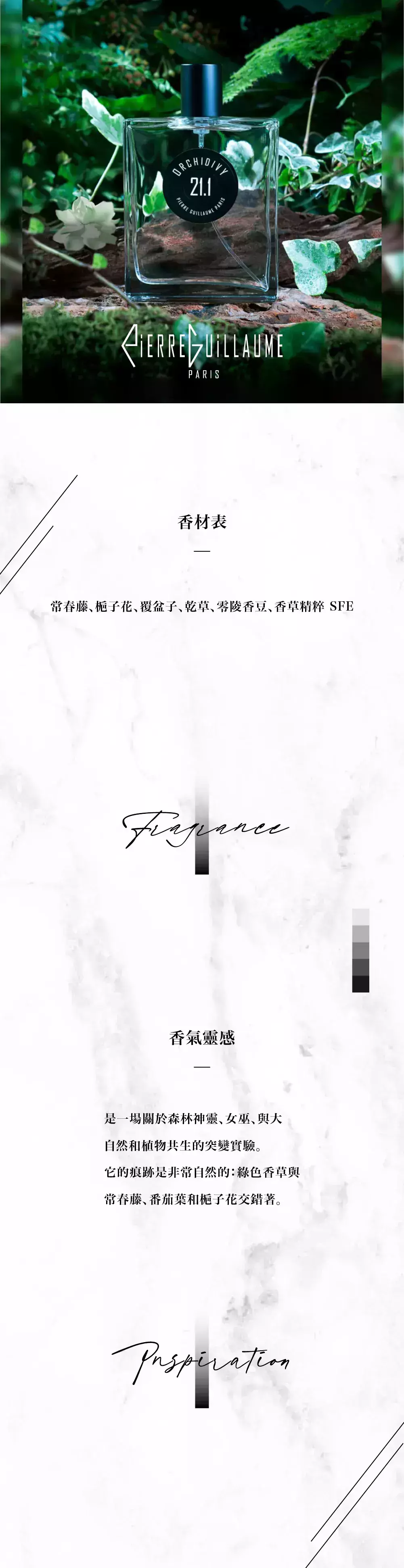 Pierre Guillaume 21.1 ORCHIDIVY 綠香蘭藤商品頁.webp
