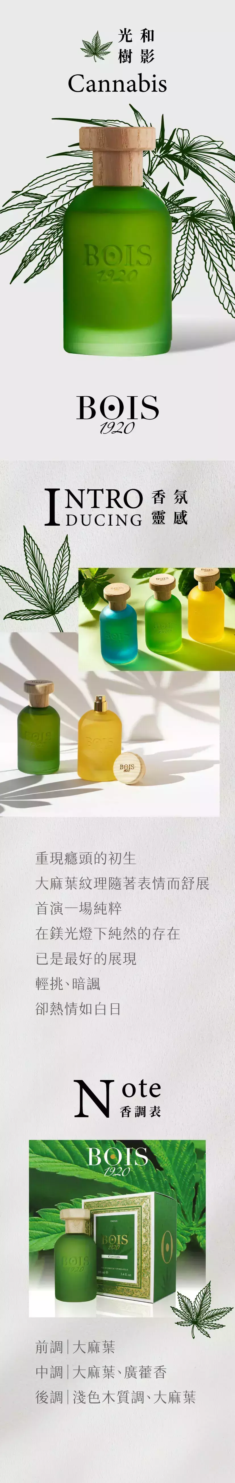 Cannabis 光和樹影商品頁.webp