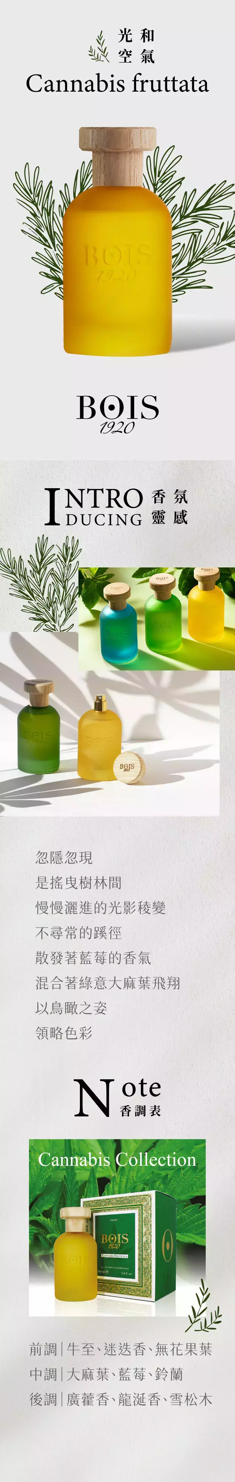 Cannabis fruttata 光和空氣商品頁.webp