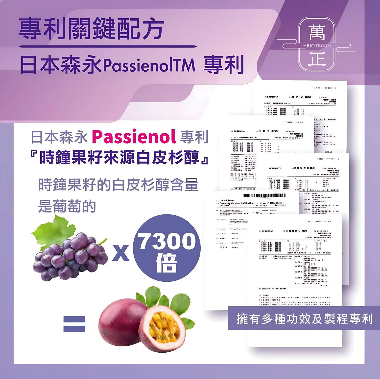 蝦5.jpg