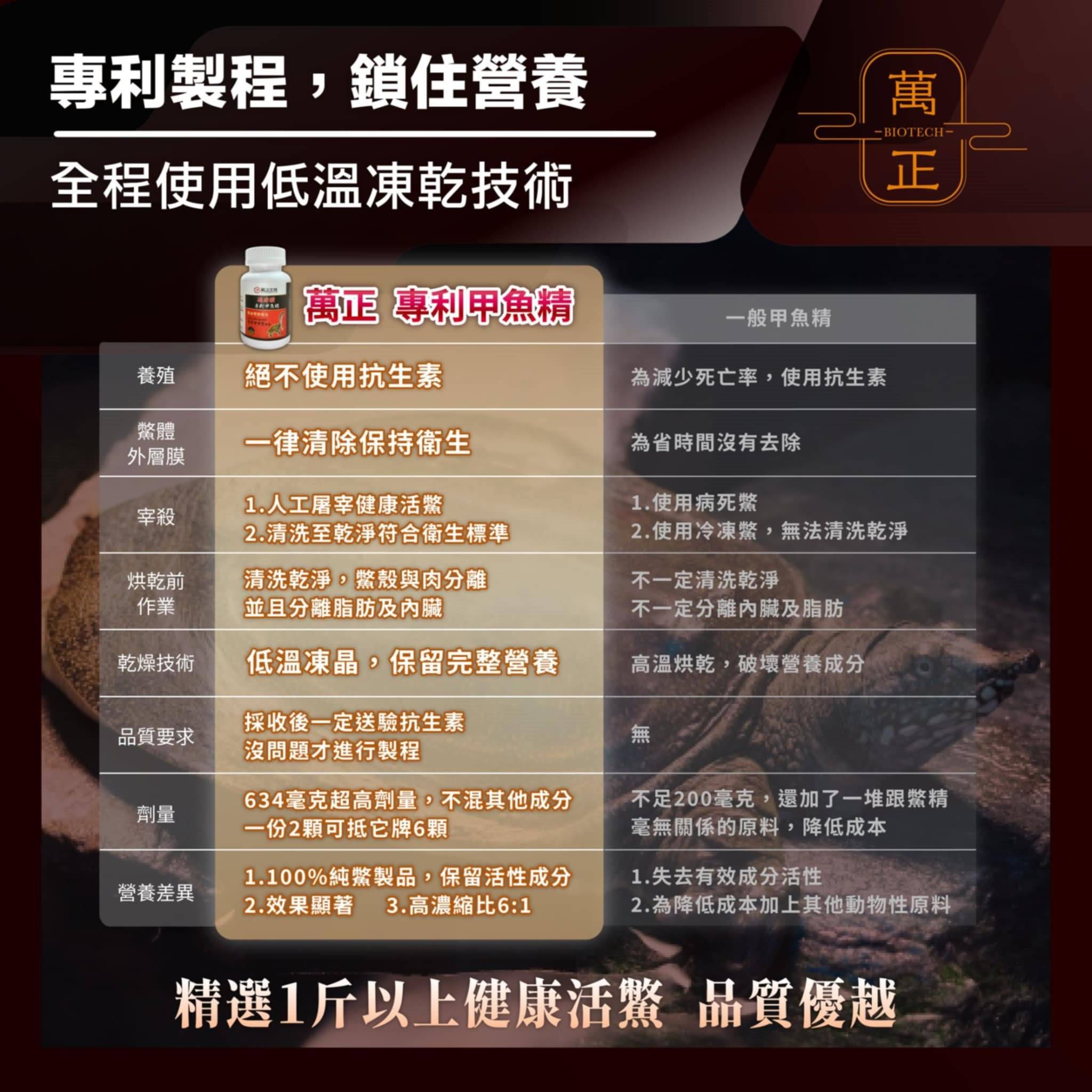 甲魚4.jpg