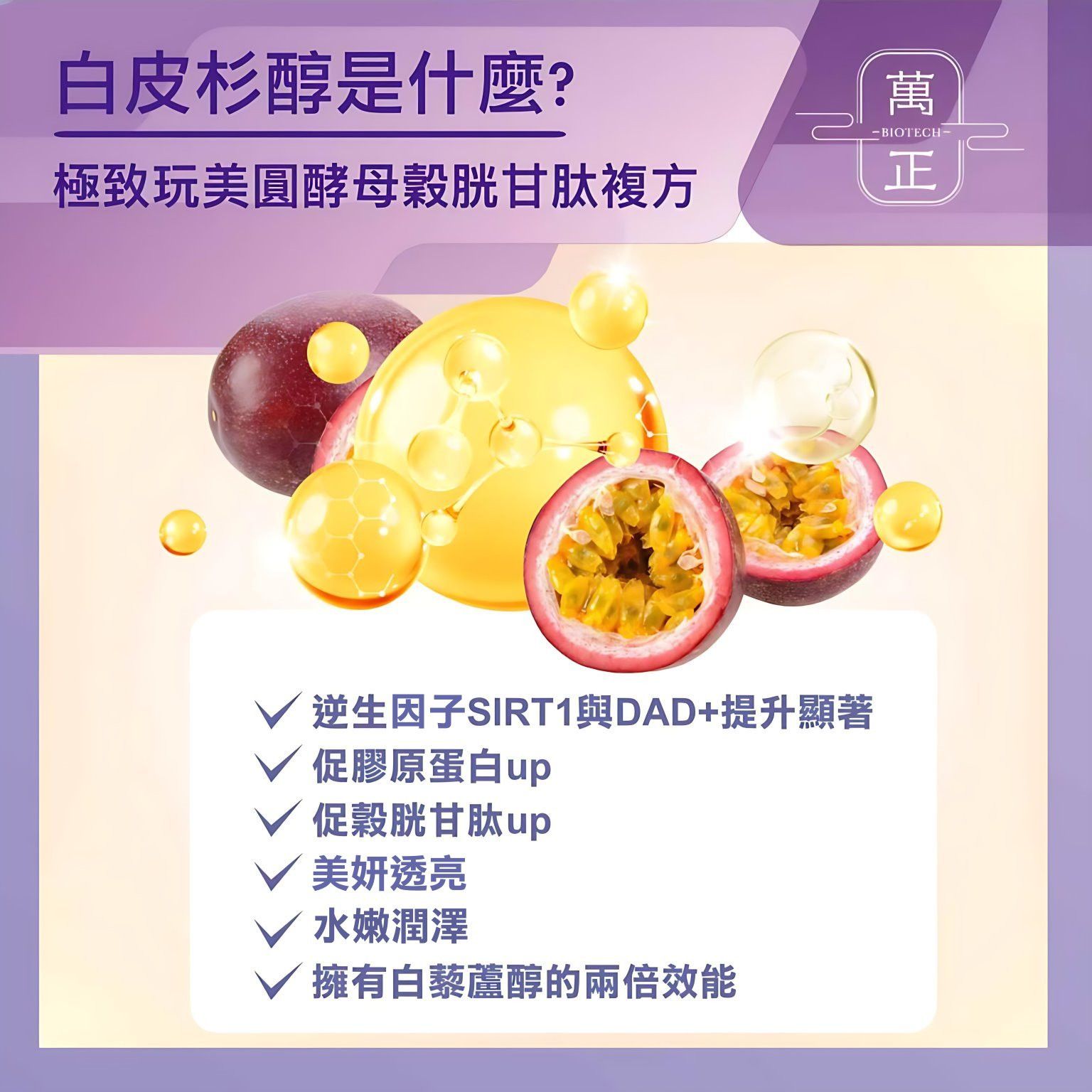 蝦6.jpg