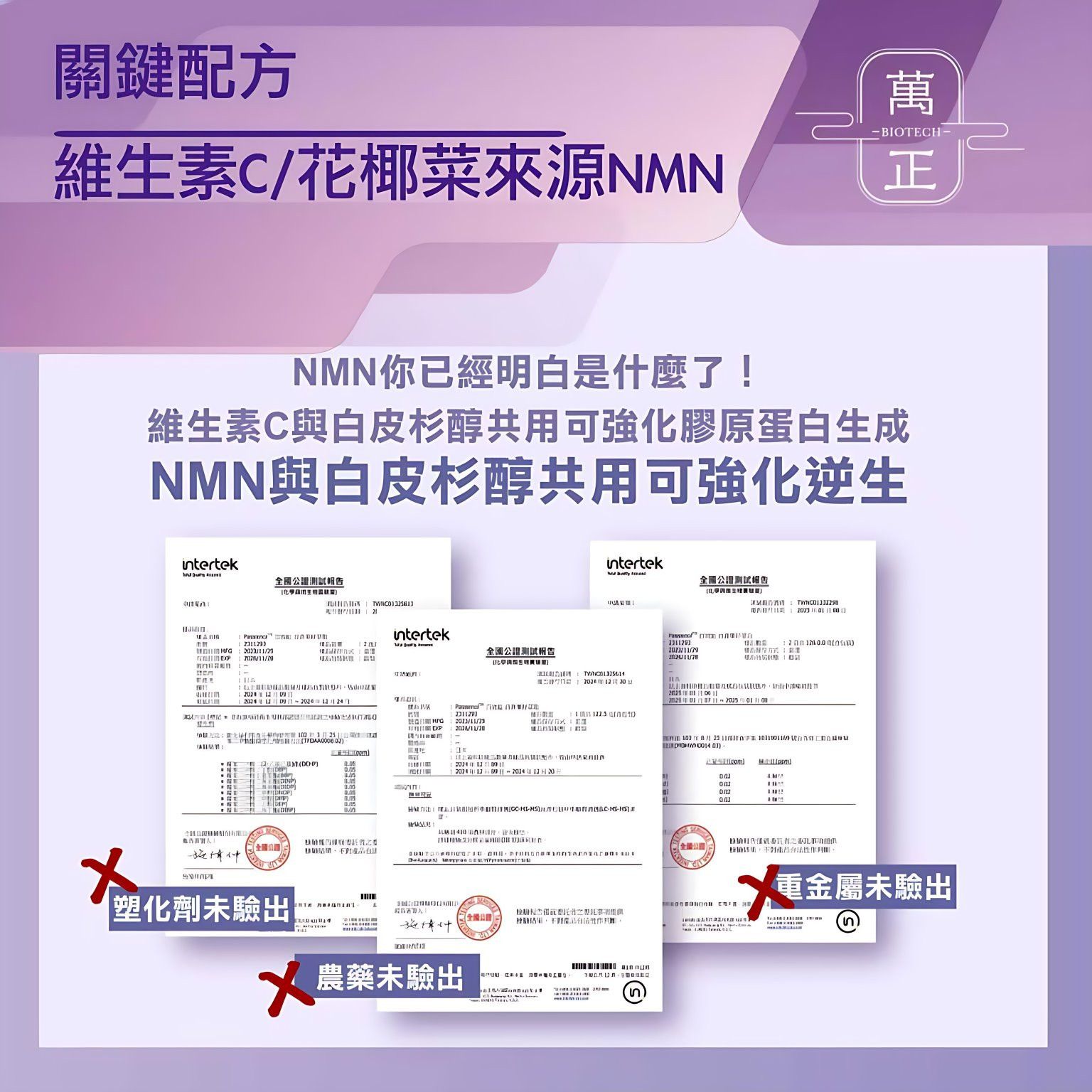 蝦7.jpg
