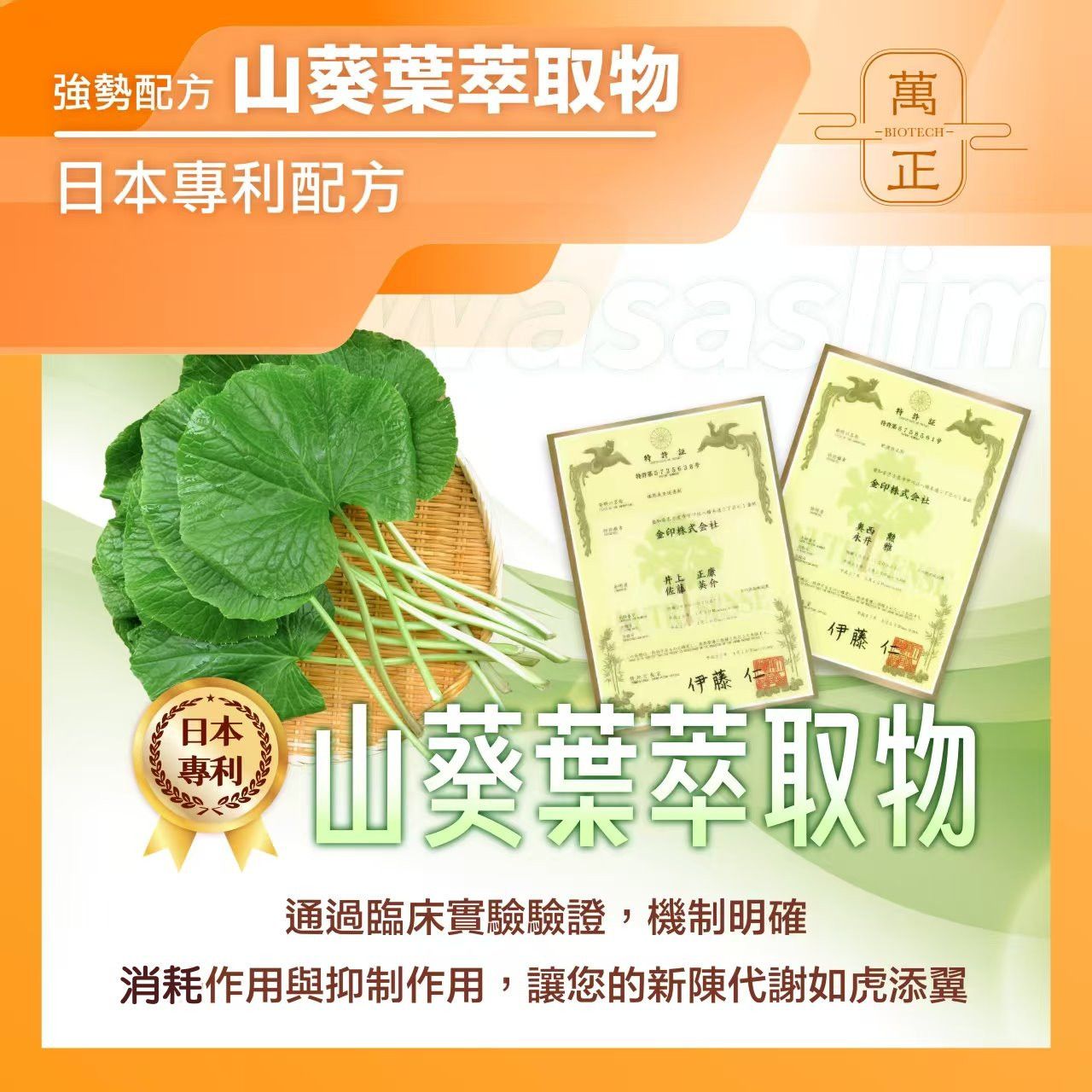 混粉5 (2).jpg